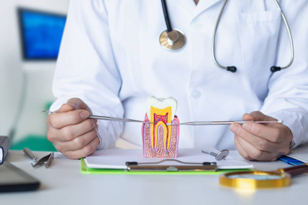 Best Emergency Dentist for Lost Fillings or Crowns in Great Falls, SC